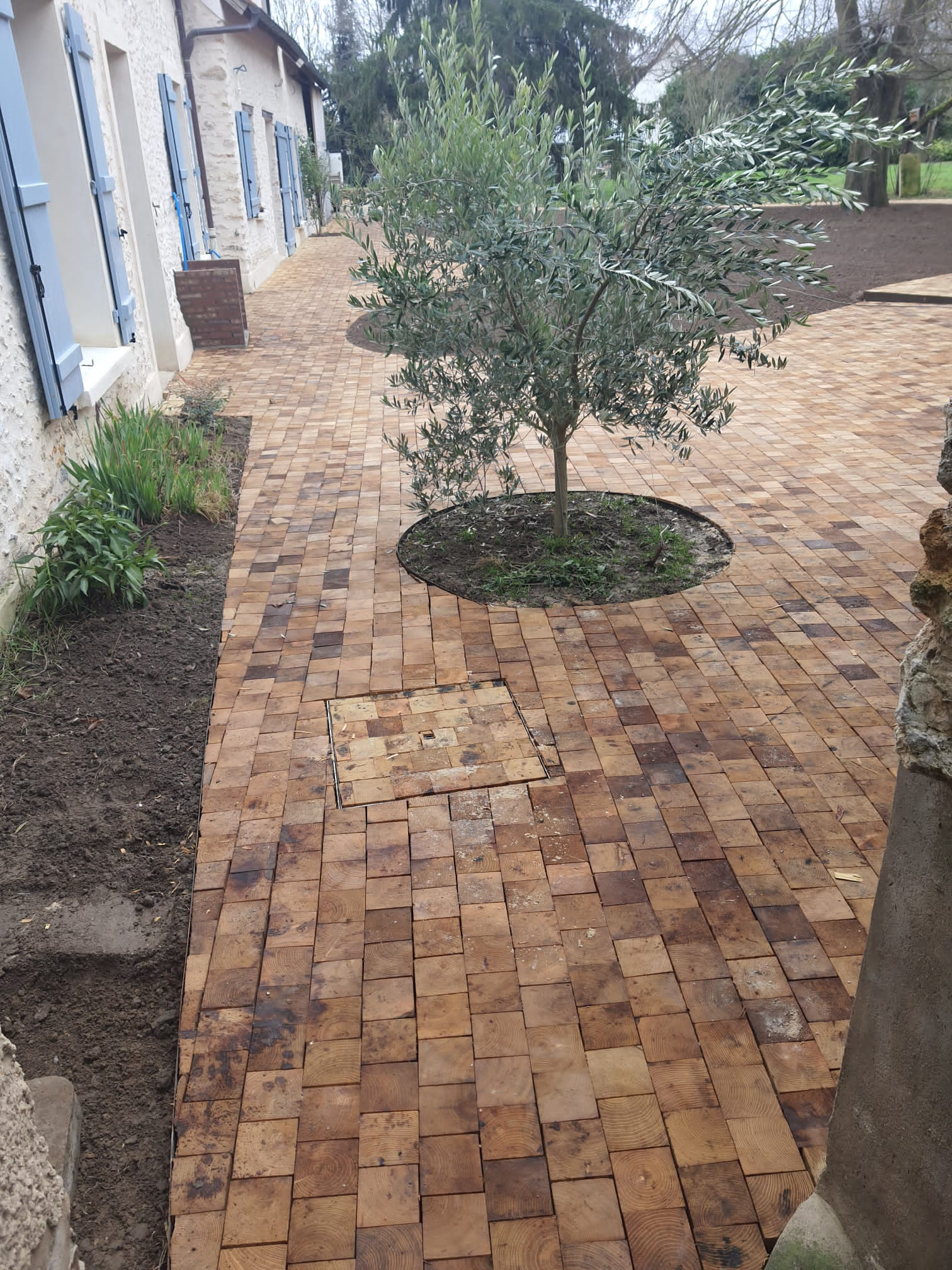 Wood Robinia Pavers 